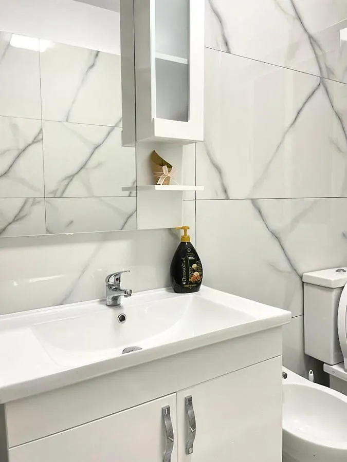 Newly Renovated One Bedroom Apartment In Tirana